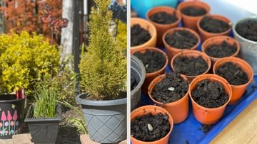 Broadway Residents get green-fingered